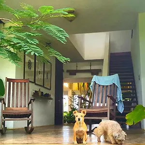 https://el-hotelito-at-the-rainforest-experience-farm.greaterantilleshotels.net
